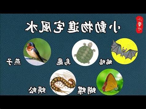 家有蜈蚣 風水